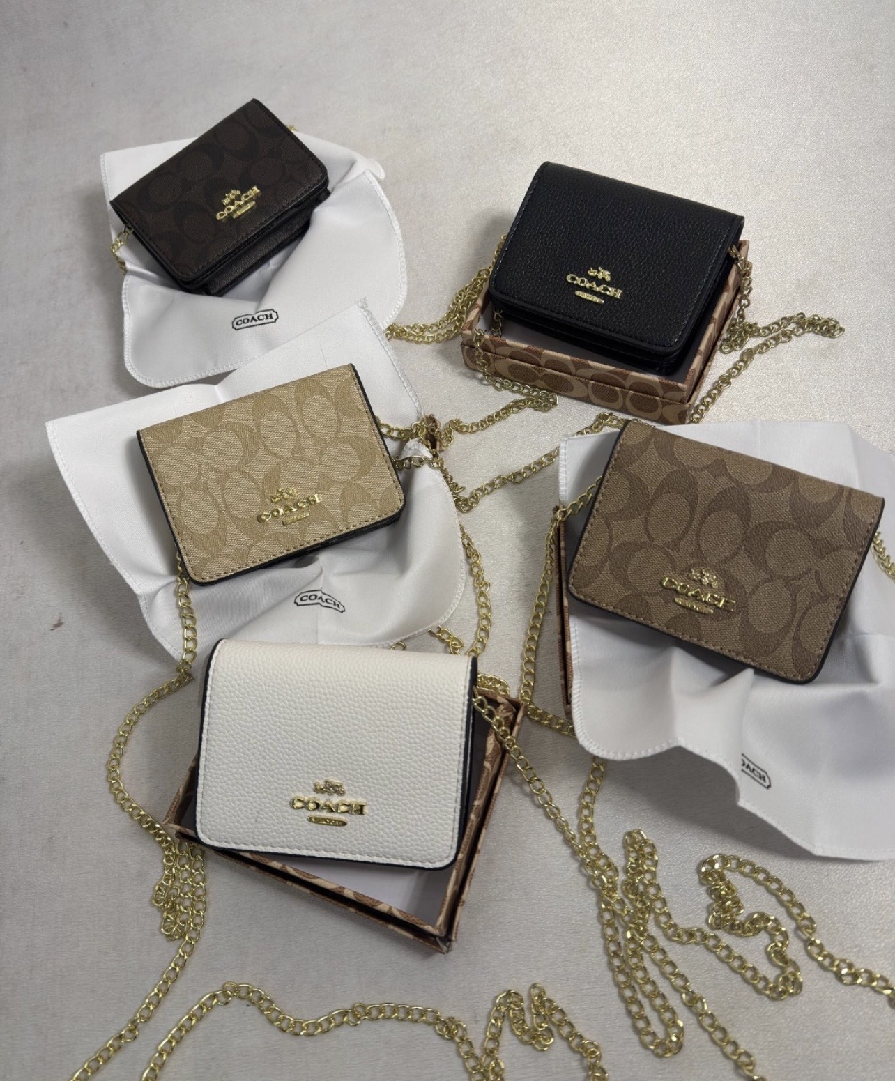 مینی بگ زنانه برند کوچ